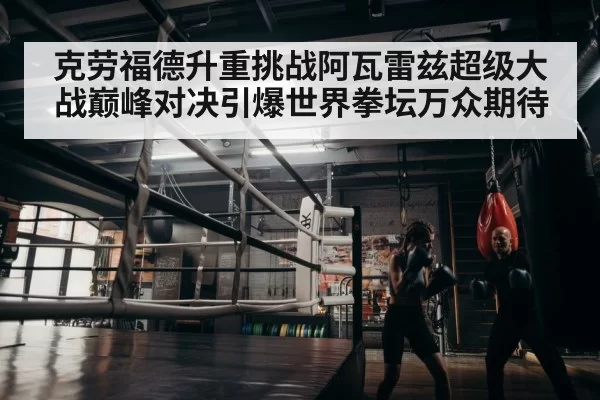 boxer training